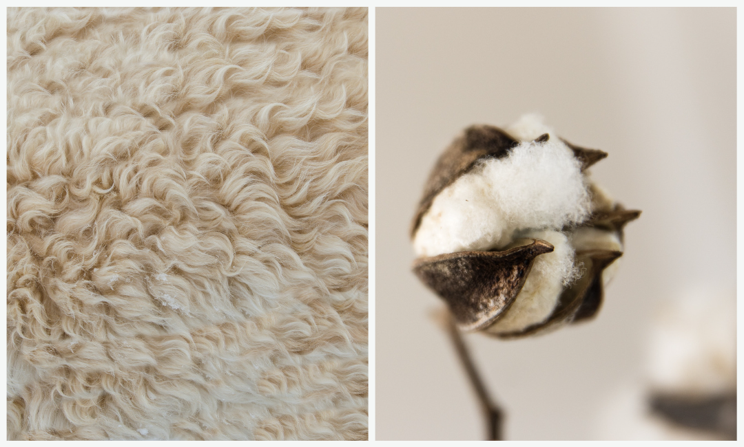 Vergleich Schurwolle versus Baumwolle